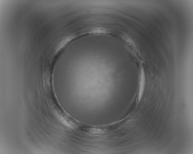 X0000081590347200701291325