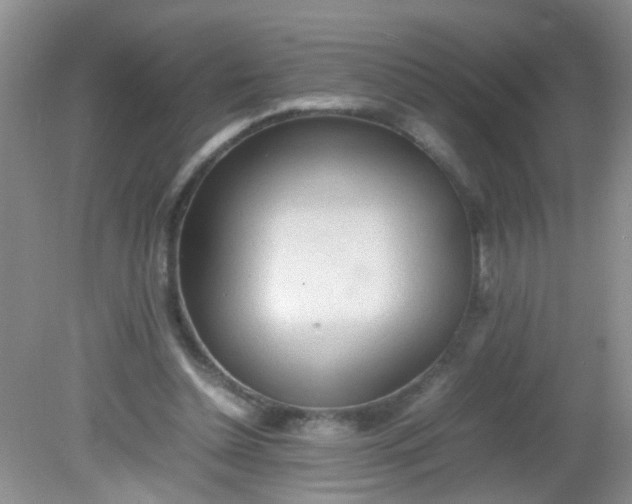 X0000081590348200701291325
