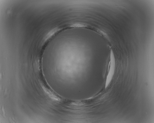 X0000081590351200701291325