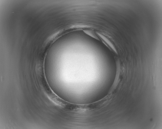 X0000081590352200701291325