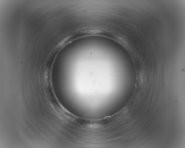 X0000081590360200701291325