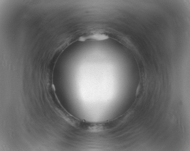 X0000081590362200701291325