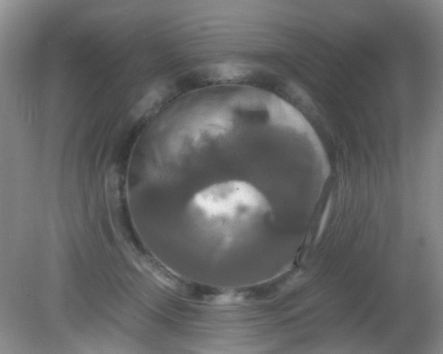 X0000081590366200701291325