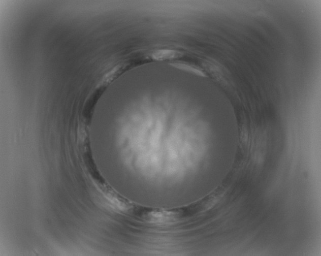 X0000081590367200701291325