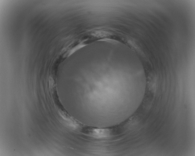 X0000081590371200701291325