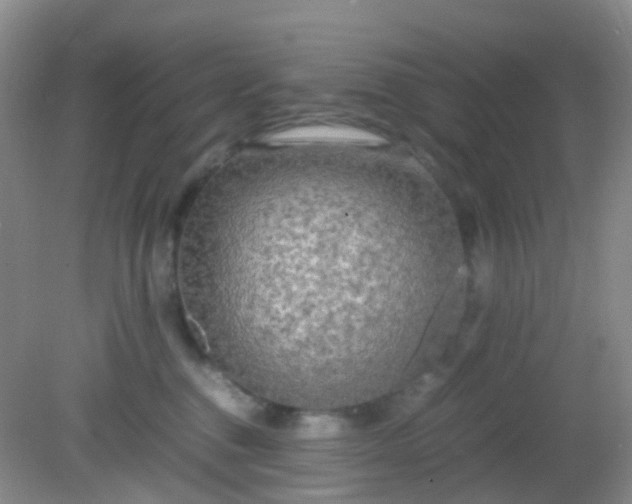 X0000081590376200701291325