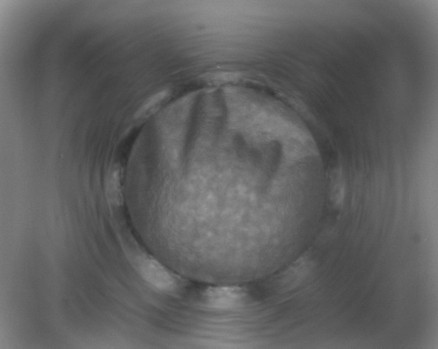X0000081590378200701291325
