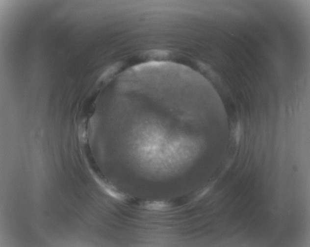 X0000081590383200701291326