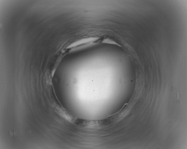X0000081590384200701291326