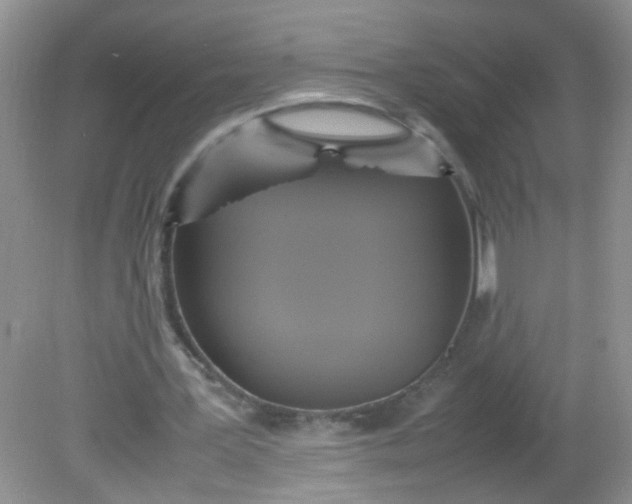 X0000081590387200701291325