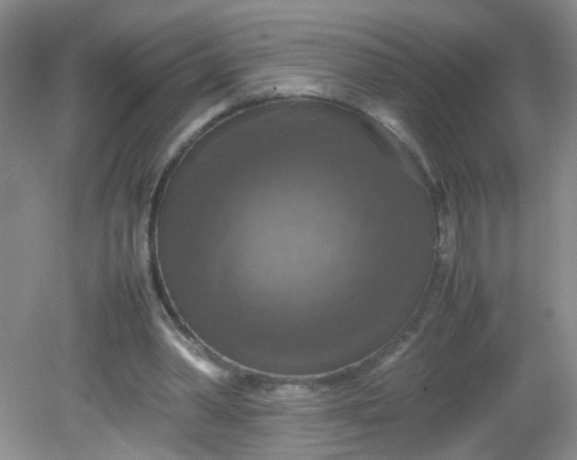 X0000081590390200701291325
