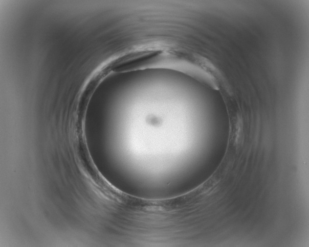 X0000081590392200701291325