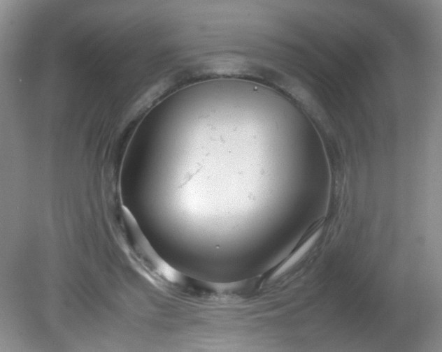 X0000081590397200701291325