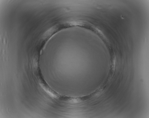 X0000081590402200701291324