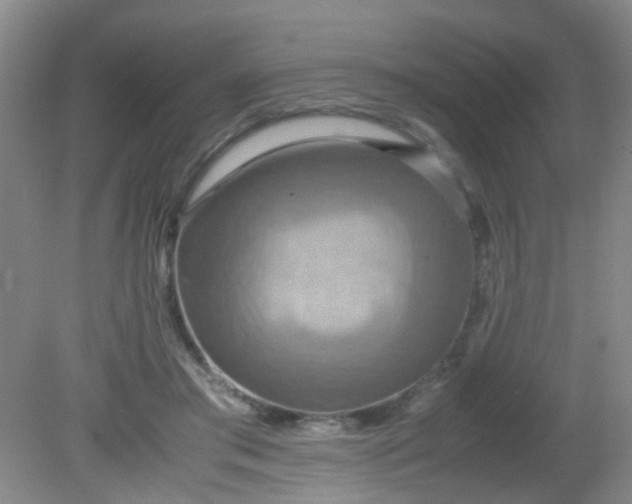 X0000081590405200701291324