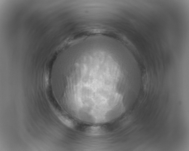 X0000081590406200701291324