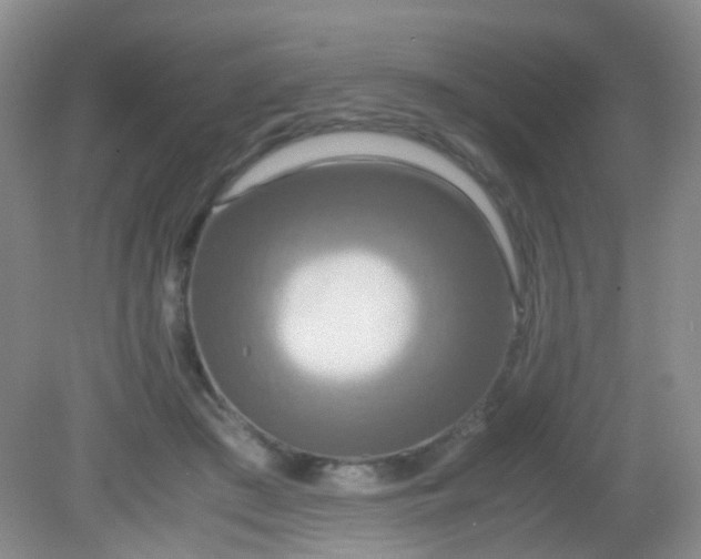 X0000081590409200701291324