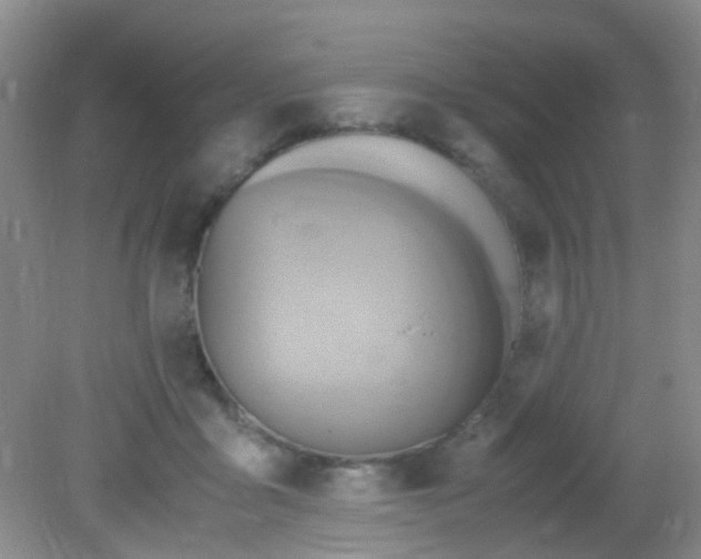 X0000081590411200701291324