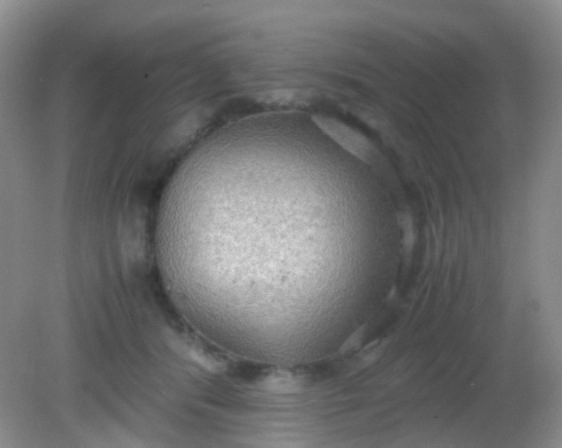 X0000081590416200701291324