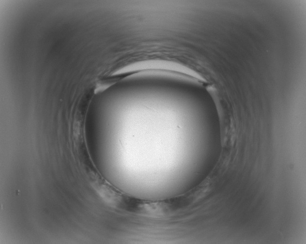 X0000081590417200701291324