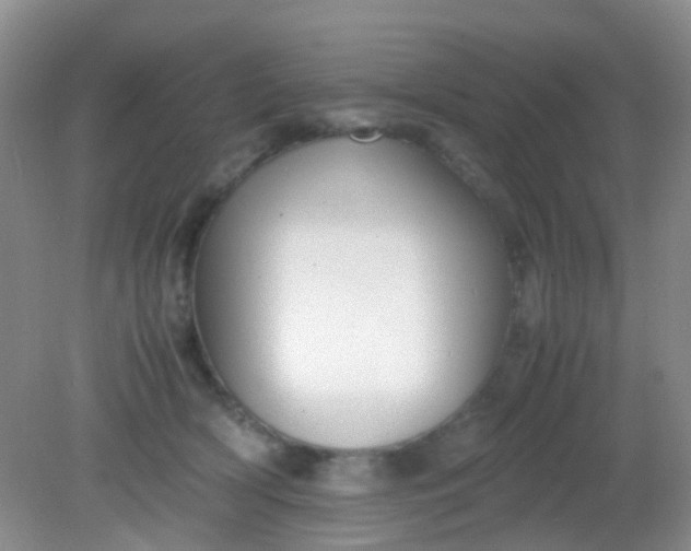 X0000081590418200701291324