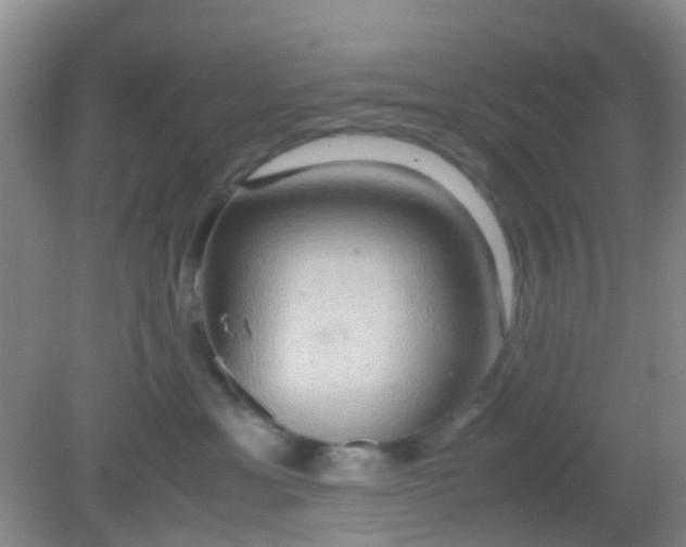 X0000081590429200701291324