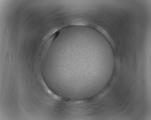X0000081590433200701291323