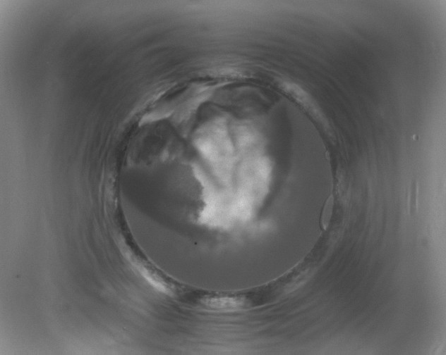X0000081590449200701291323