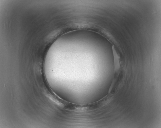 X0000081590450200701291323