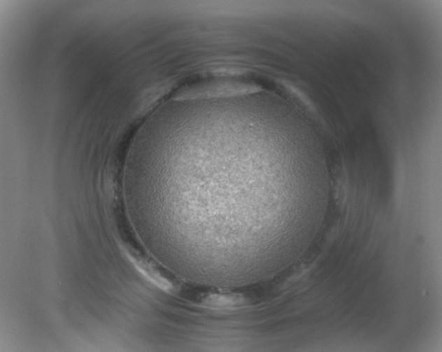 X0000081590455200701291324