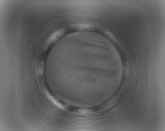 X0000081590458200701291324