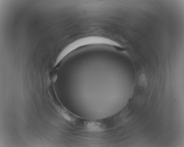 X0000081590471200701291324