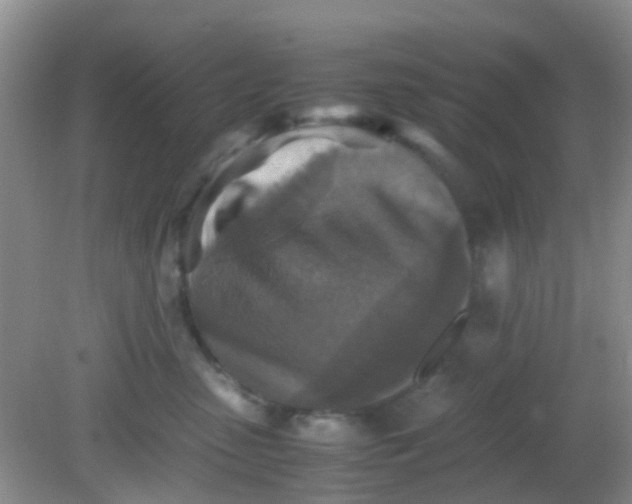 X0000081590475200701291324