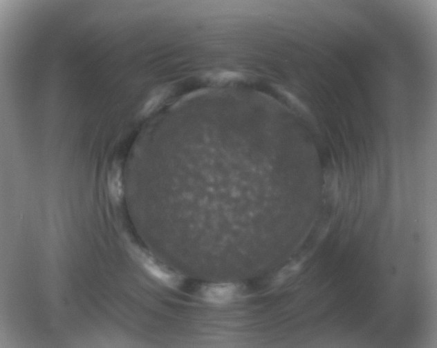 X0000081590479200701291324