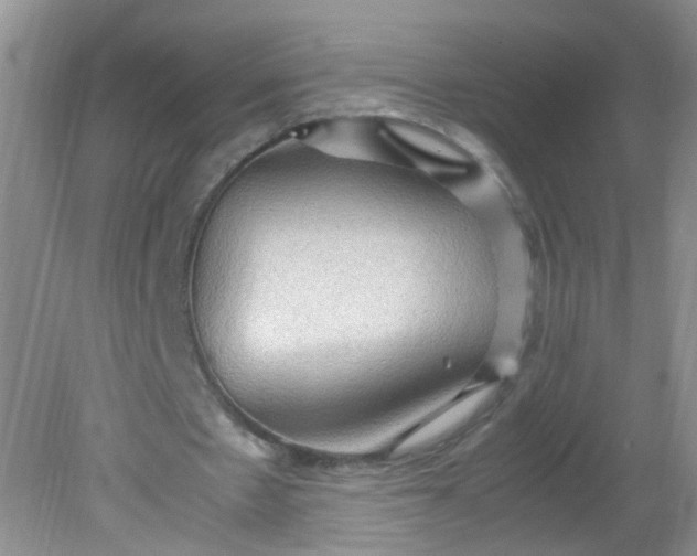 X0000081590481200701291323