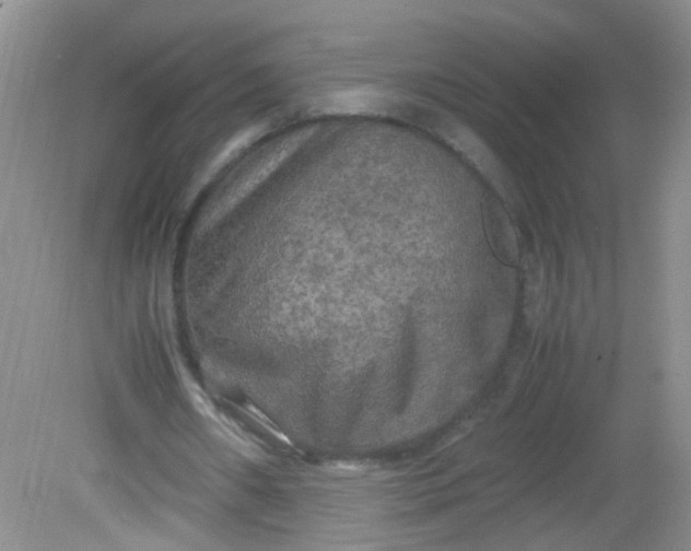 X0000081590482200701291323