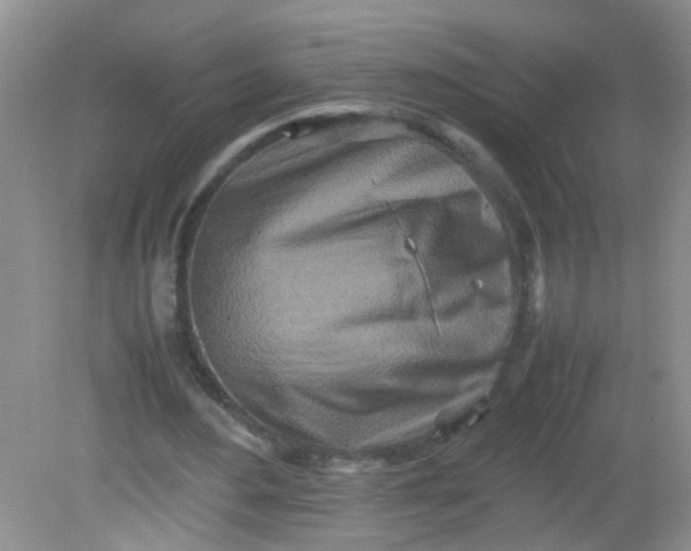 X0000081590484200701291323