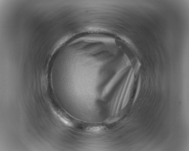 X0000081590488200701291323