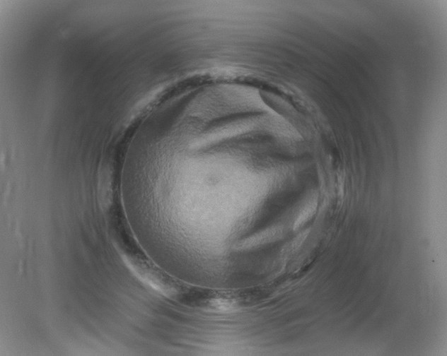 X0000081590496200701291323