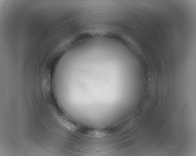 X0000081590498200701291323
