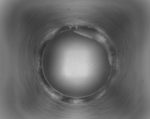 X0000081590501200701291323