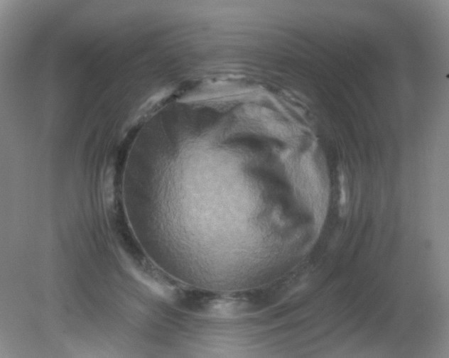 X0000081590504200701291323