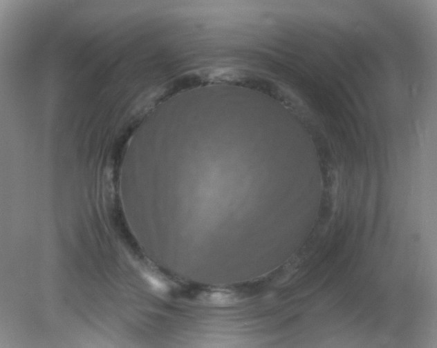 X0000081590506200701291323