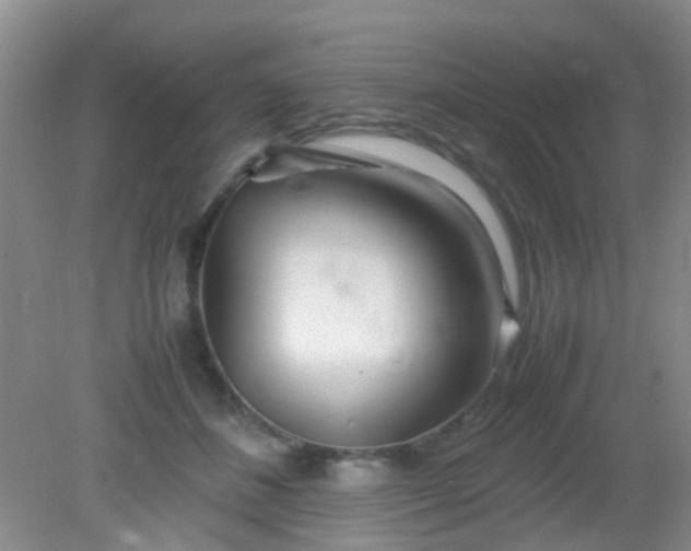 X0000081590508200701291323
