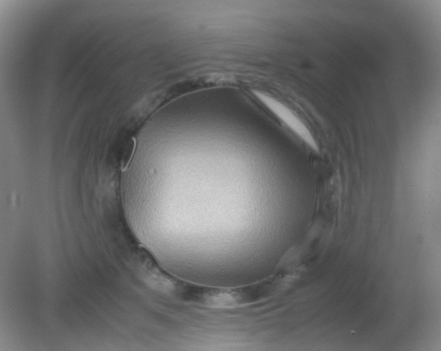 X0000081590513200701291323
