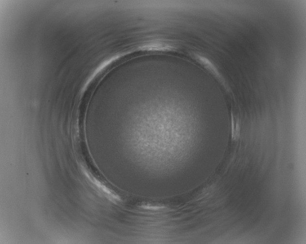 X0000081590531200701291322