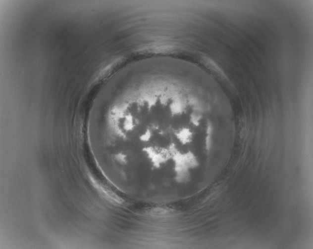 X0000081590542200701291322
