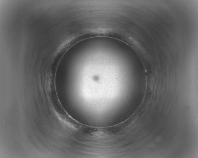 X0000081590544200701291322