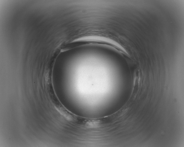 X0000081590560200701291322