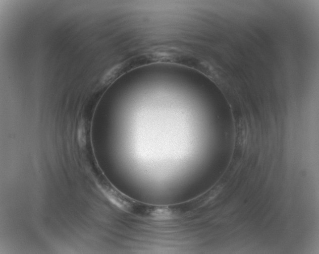 X0000081590562200701291322